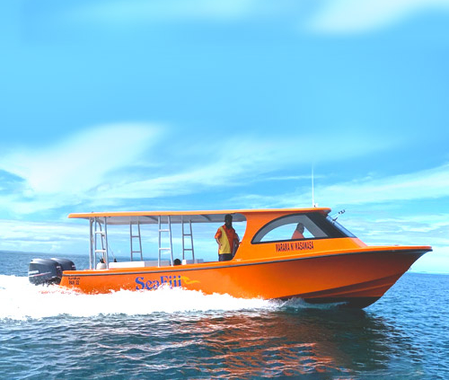 Seafiji | ALFAB Staging – Elementor Rebuild Sea Fiji