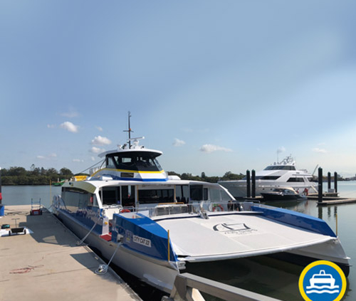 citycat_aflab | ALFAB Staging – Elementor Rebuild City Cat